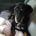 Merle Mayer - Facebook