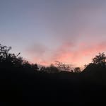 Merle Mayer - @merleee_000 - Instagram