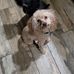 Merle McDowell - Facebook