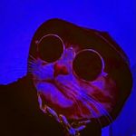 Merle Meyer - @merlemeyer1705 - Instagram