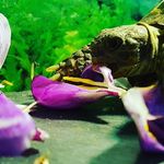 Merle Meyer - @merlemeyer6990 - Instagram
