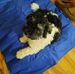 Merle Morrison - Facebook