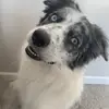 Jordyn Ruhnke - @bluemerlemurphylee - TikTok