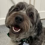 Mayor Murphy - @mayormurphymerle - Instagram