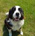 Merle Neumann - Facebook