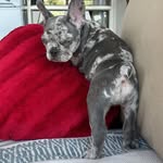 Merle Joubert - @merle.obrien5 - Instagram