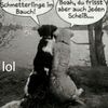 Merle petersen - @tzuiopüß - TikTok