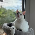 Merle Rücker - Facebook