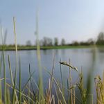 Merle Schmidt - @merleschmidt70 - Instagram