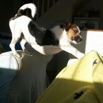 Merle Schmidt - @merleschmidt1104 - Instagram