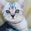Merle Schmidt  - @merle.schmidt08 - TikTok