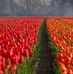 Merle Speer - Facebook