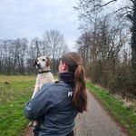 Merle - @merlesteinacker - Instagram