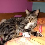 Merle_Stein - @merle_stein_1973 - Instagram