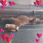 Merle Steinweber - @merlesteinweber - Instagram