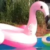 Merli - @merlestein - TikTok