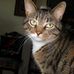 Merle Thomas - Facebook