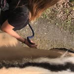 Merle Wagner - @merle.wagner.56 - Instagram