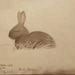 Merle Weiss - @kunterbunte_welt_merle - Instagram