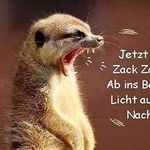 Merle Werner - @merle130609 - Instagram
