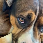 merlewolffhellpedersen - @merlewolffhellpedersen - Instagram