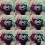 Merlin Abel Riyanti - @merlinabel04 - Instagram