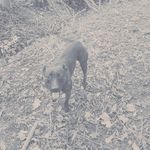 Merlin Brown - @idk.brown_merlin - Instagram