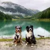 cookie_merlin - @cookie_merlin - TikTok