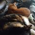 Merlin Cook - Facebook