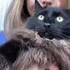 Merlin - @merlin_thekat - TikTok