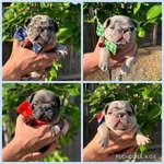 Merlin hills - @hills.merlin - Instagram