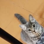 merlin perez - @cf.merlin - Instagram