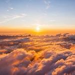 Nick Schmidt - @nick_merlin_schmidt - Instagram