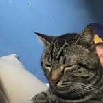 Merlin Smith - @shan.merlin - Instagram