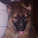 merlin Smith - @merlinsmith17 - Instagram
