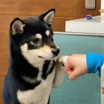 Merlin Smith - @merlin_smith_ - Instagram