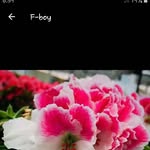 Merlin Smith - @merlinsmith637 - Instagram