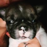 merlin torres - @merlin.0902 - Instagram