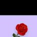 Marlia Theodore - Facebook