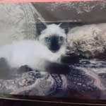 Merlyn Antonio Barajas Mariscal - @merlyn.antonio - Instagram