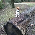 Merlyn Evans - @evans.d63 - Instagram