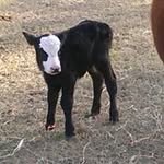 merlyn johnson - @merly2802 - Instagram
