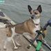Merlyn Johnson - Facebook