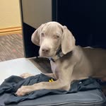 Merlyn Johnson - @brettonians - Instagram