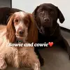 Merrick Johnson - @merrick.johnson1 - TikTok