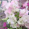 merrill Johnson - @merrill.johnson7 - TikTok