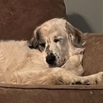 Merrick Mitchell - @mckenna_1572 - Instagram