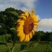 Merrie Davis - Facebook