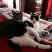 Colleen Baker Merrill - Facebook