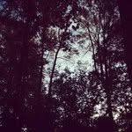 @merrillblacknall_ - Instagram